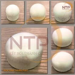 Bịt đầu inox – Bịt đầu inox ren, Bịt đầu inox hàn 8 Bịt đầu inox hàn SUS201/304/316