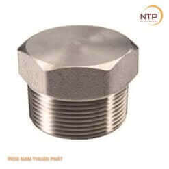 Nút bịt ren ngoài inox 304/304L - inox 316/316L Đầu Lục Giác