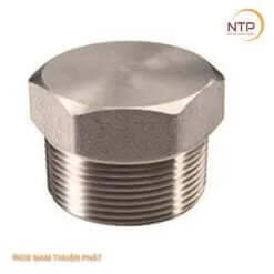 Nút bịt ren ngoài inox 304/304L - inox 316/316L Đầu Lục Giác