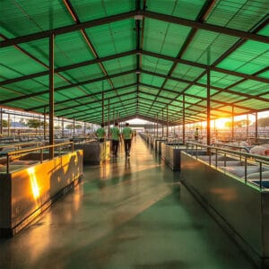 Inox được sử dụng xây chuồng trại, đảm bảo vệ sinh toàn diện